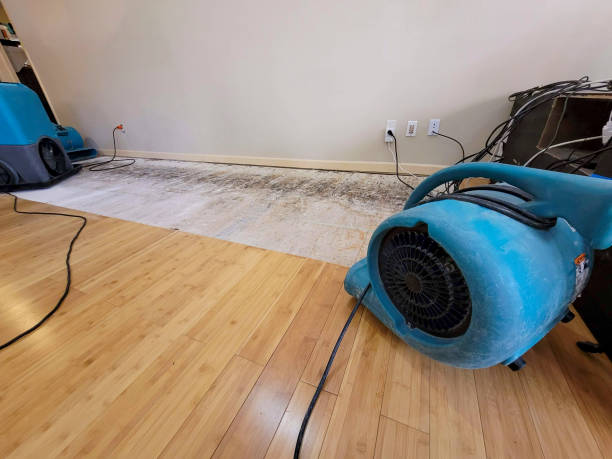 Professional Emergency Water Damage technician working in Fyffe, AL
